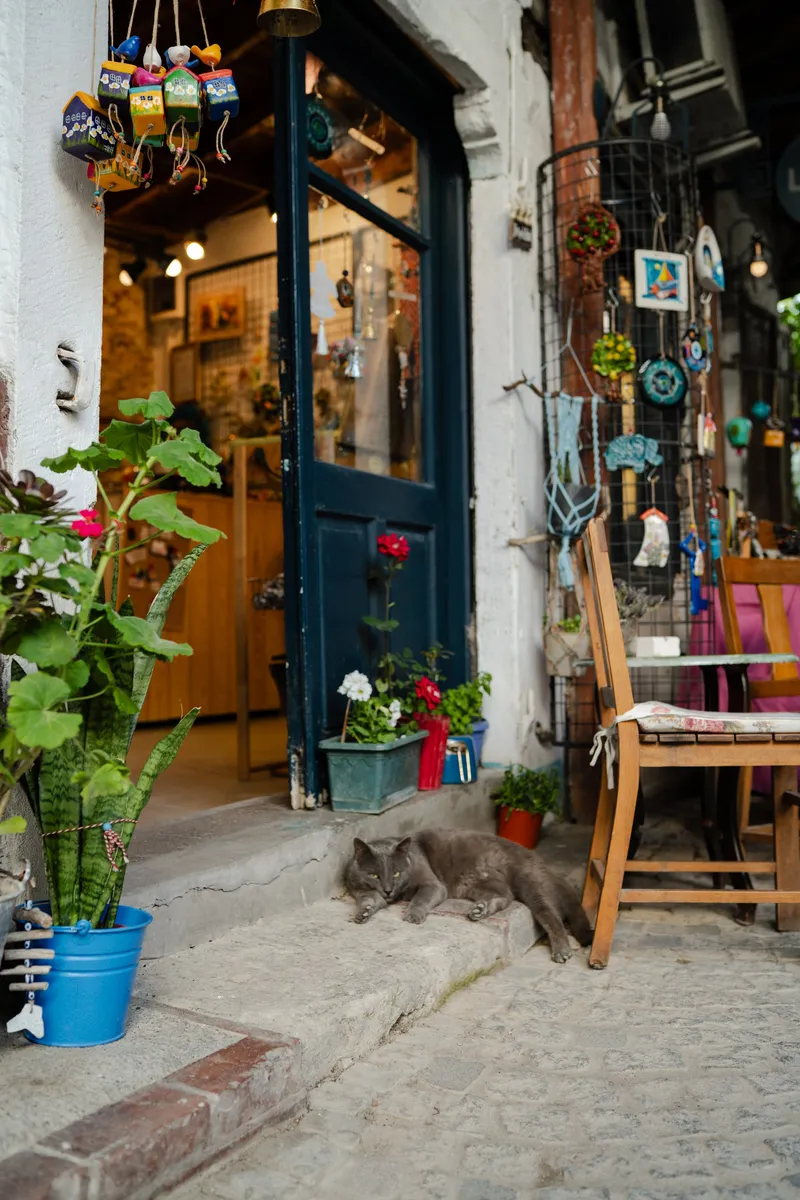 Urla pazarı